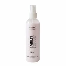     18  1 «Multi Spray»  “Styling” 250 